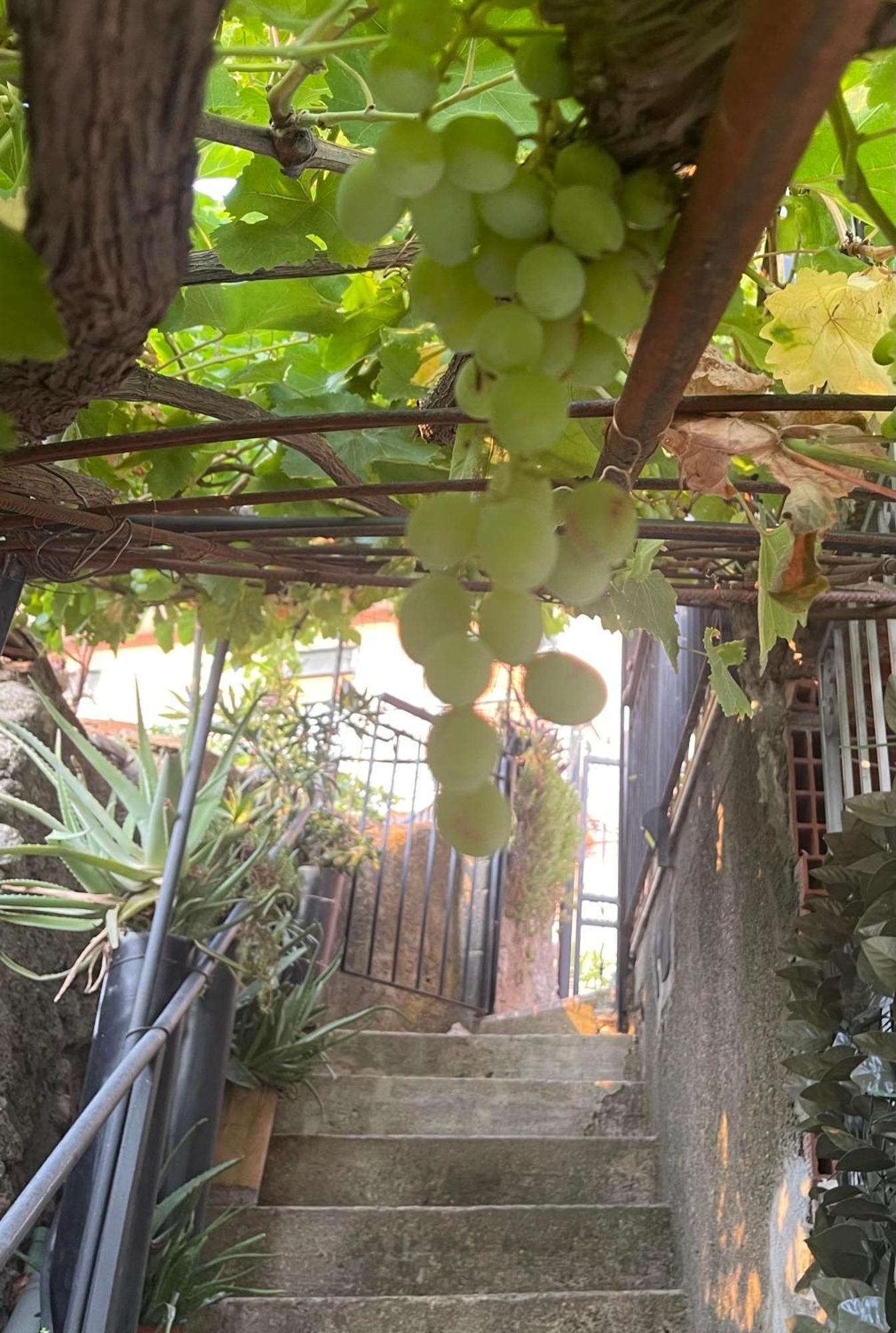 The Secret Garden Villa Forza dʼAgro Exteriör bild