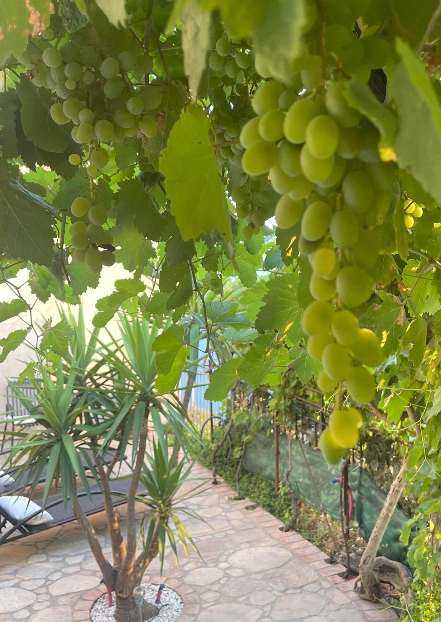 The Secret Garden Villa Forza dʼAgro Exteriör bild